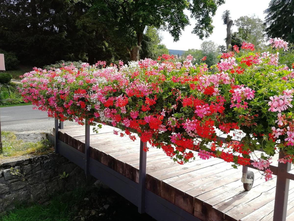 Penzion Bila Voda Harrachov Dış mekan fotoğraf