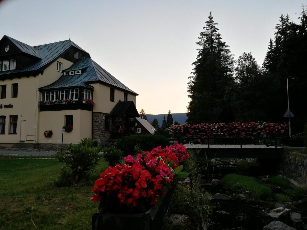 Penzion Bila Voda Harrachov Dış mekan fotoğraf