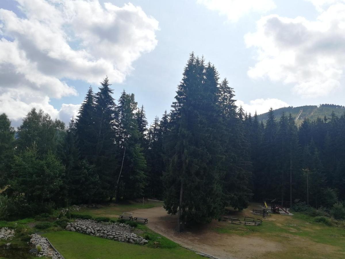 Penzion Bila Voda Harrachov Dış mekan fotoğraf