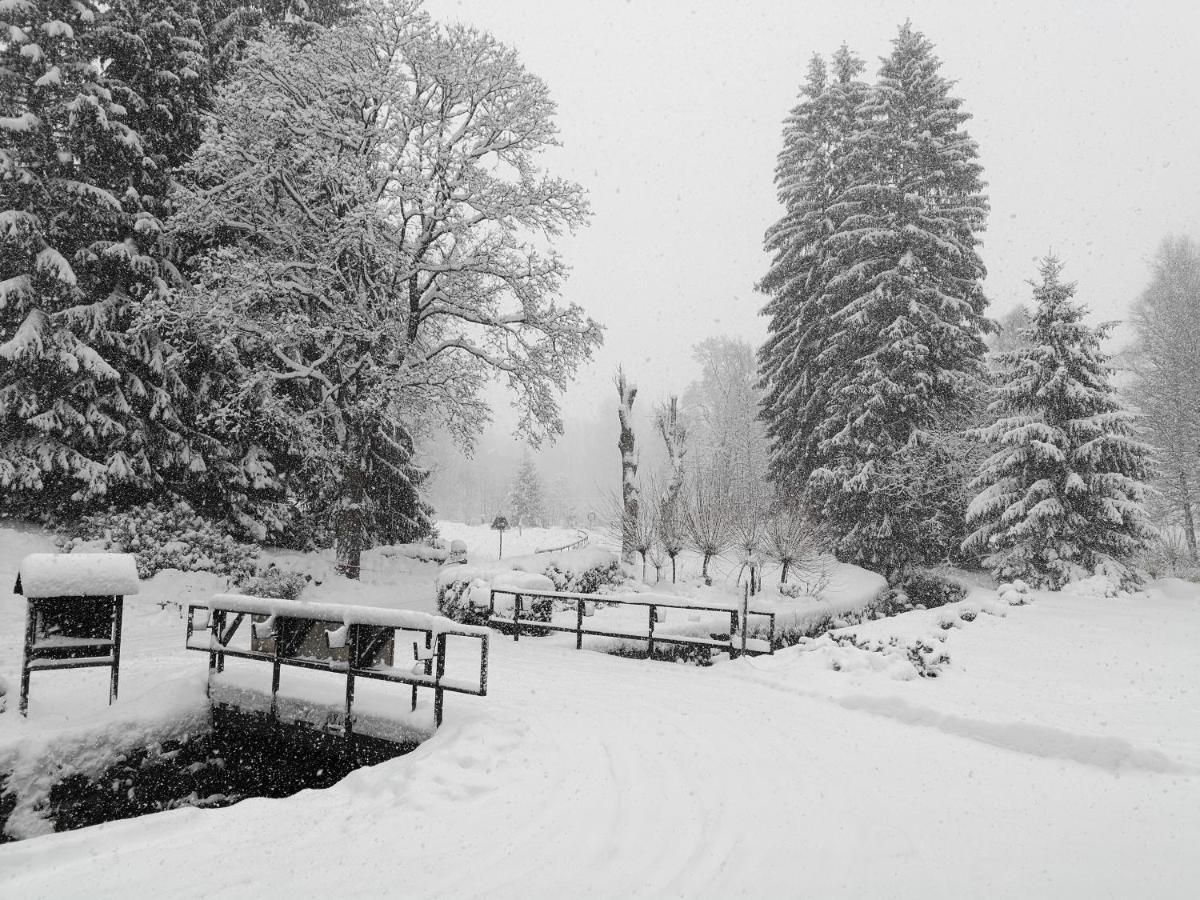 Penzion Bila Voda Harrachov Dış mekan fotoğraf